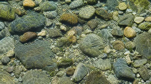 Mountain Stream With Colorful Stones
