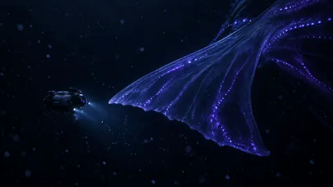 Submersible Near Glowing Giant Fin
