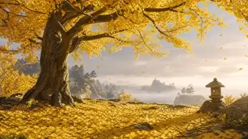 Golden Ginkgo Dawn live wallpaper