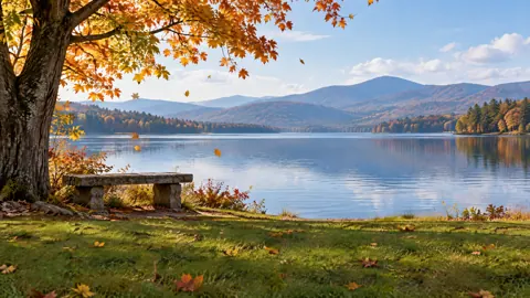 Autumn Maple by the Lake