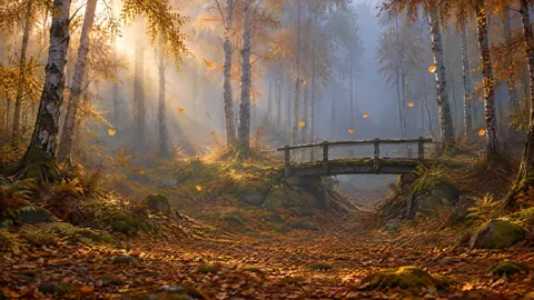 Mossy Bridge Under Copper Birches