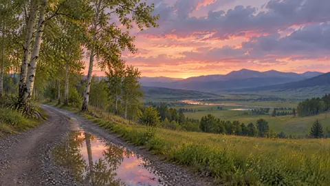 Aspen Lane After Rain