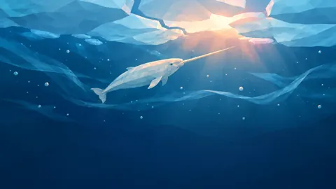 Narwhal Beneath Sea Ice