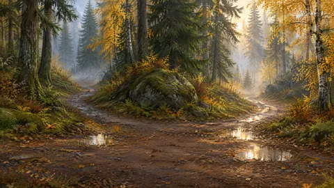 Misty Forest Trail Fork