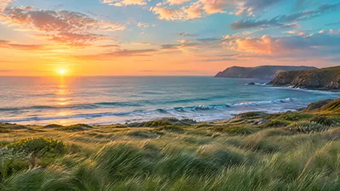 Coastal Grassland at Sunrise