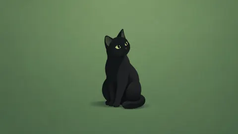 Black Cat Green Background