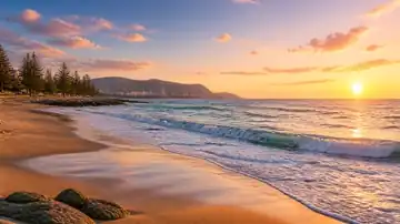 Golden Calm Coast live wallpaper