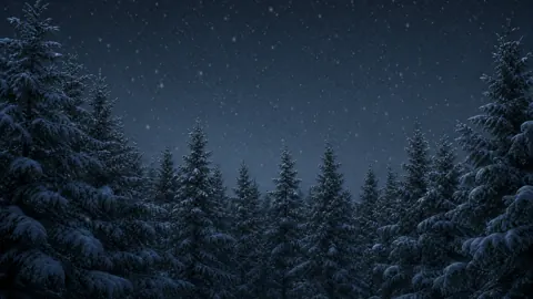 Snowy Pine Forest at Night