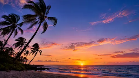 Palm Trees at Sunset
