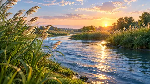 Sunset River Through Reeds