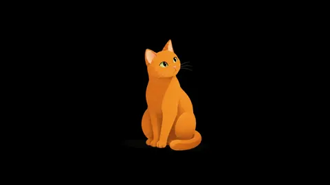 Orange Cat on Black