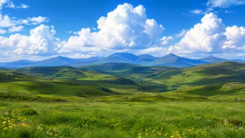 Emerald Moorland and Blue Mountains