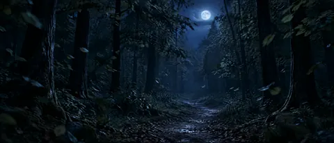 Moonlit Forest Path