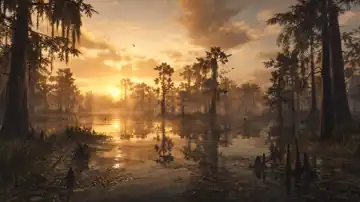 Bayou Sunset Reflections live wallpaper