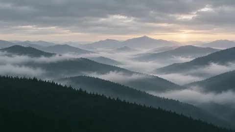 Evergreen Ridges in Valley Fog