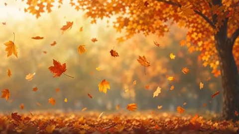 Falling Maple Leaves Under Tree