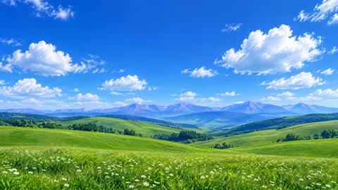 Emerald Hills and Daisies