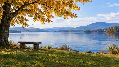 Golden Maple by Lake
