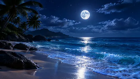 Moonlit Tropical Beach Waves
