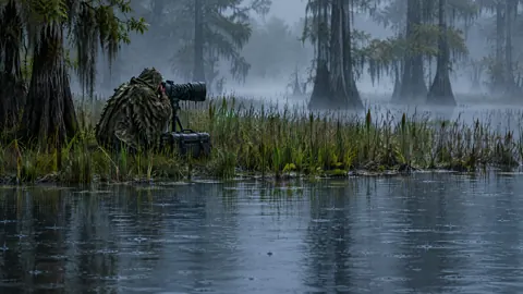 Wildlife Photographer in Rain Marsh