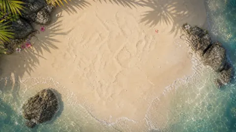 Tropical Beach With Palm Shadows
