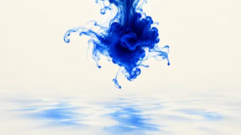 Cobalt Ink Bloom on Ivory