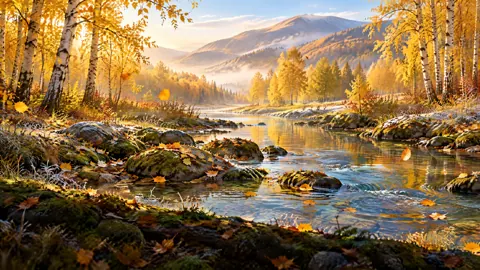Autumn Creek and Golden Birches