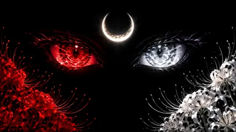 Red And White Anime Eyes