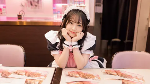 Japanese Maid Café Cat Flyers