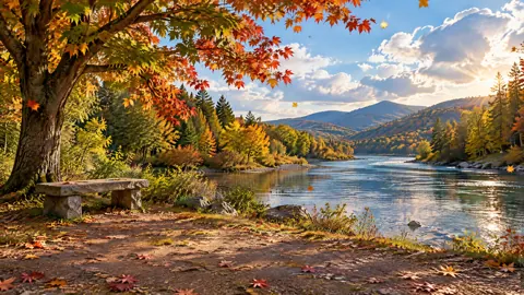 Stone Bench by Autumn River