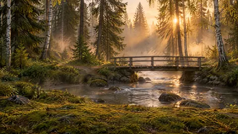 Wooden Bridge in Misty Forest