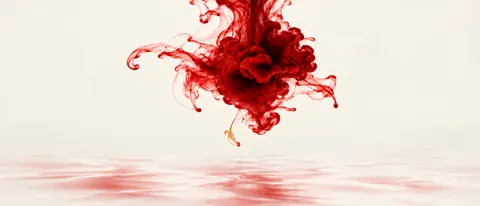 Crimson Ink Bloom on Ivory