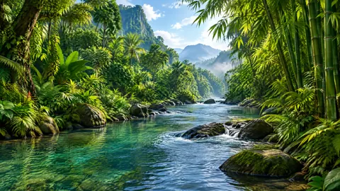 Turquoise River Through Jungle