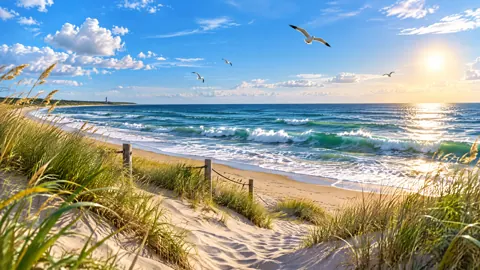 Baltic Sea Beach at Sunset