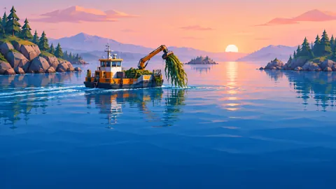 Kelp Barge at Sunrise