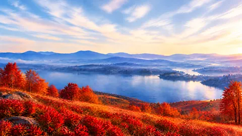 Red Flowers Above Mountain Lake